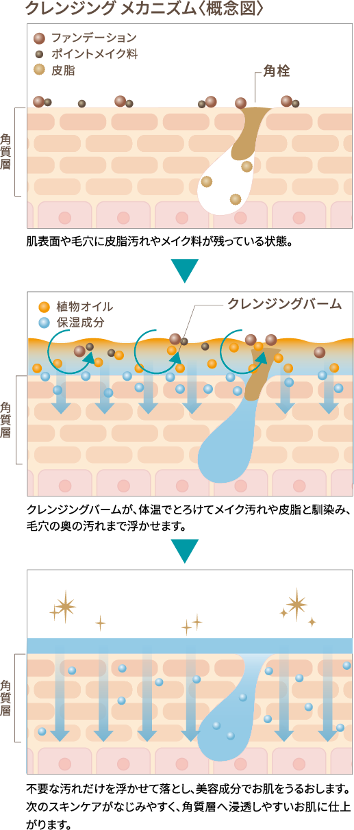 ブースター効果