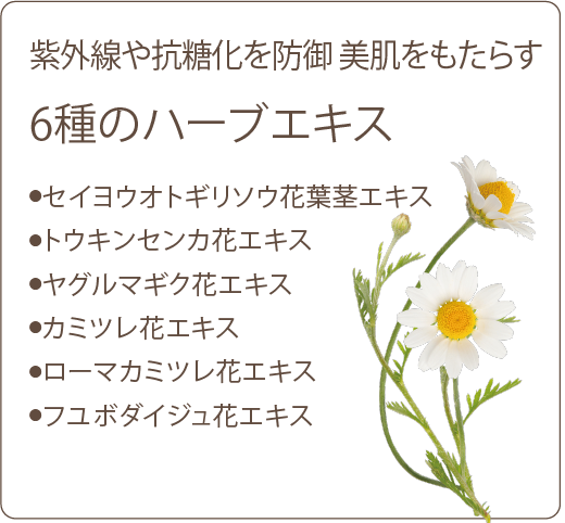 6種のハーブエキス