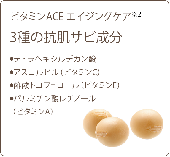 3種の抗肌サビ成分